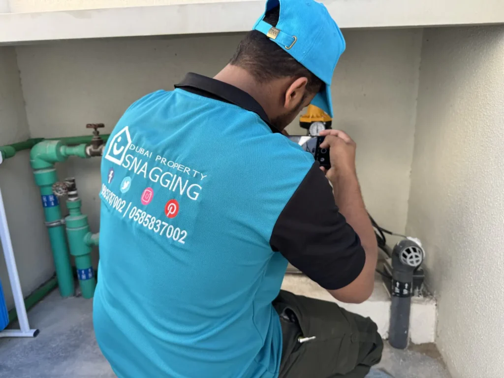 Property Inspection Services, common issues